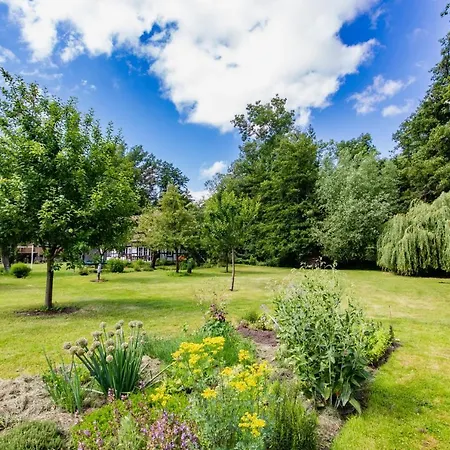 Gesundheitsoase 아파트 *