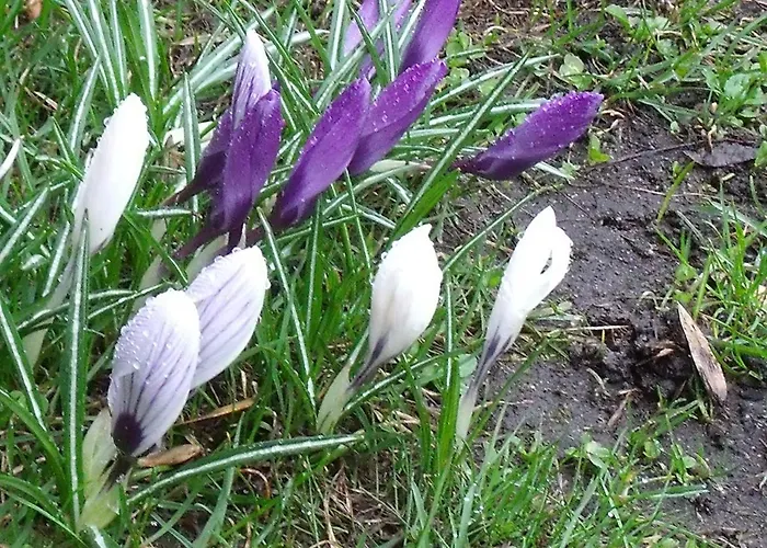 Gesundheitsoase Lejlighed Burg